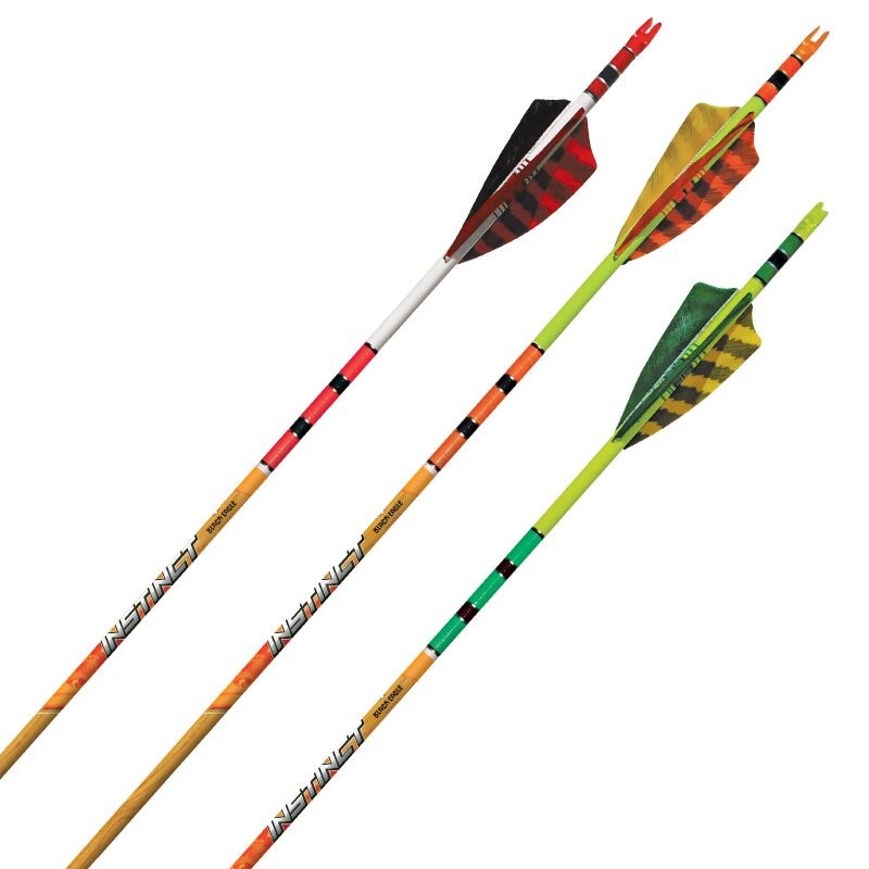 Strzała karbonowa Black Eagle Instinct Crested .005 (6 szt.)