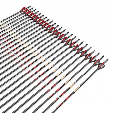 Strzała karbonowa Sanlida Dragon 10