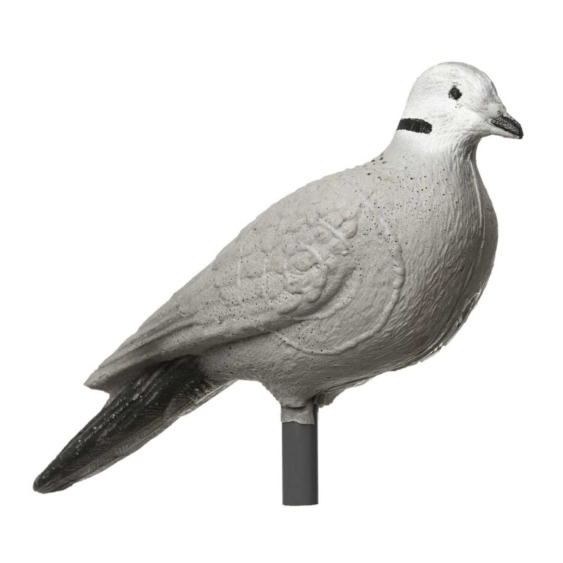 Cel łuczniczy 3D Beier Gołąb