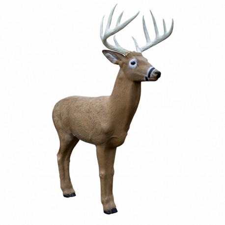 Cel łuczniczy 3D Rinehart Samca jelenia z Midwest