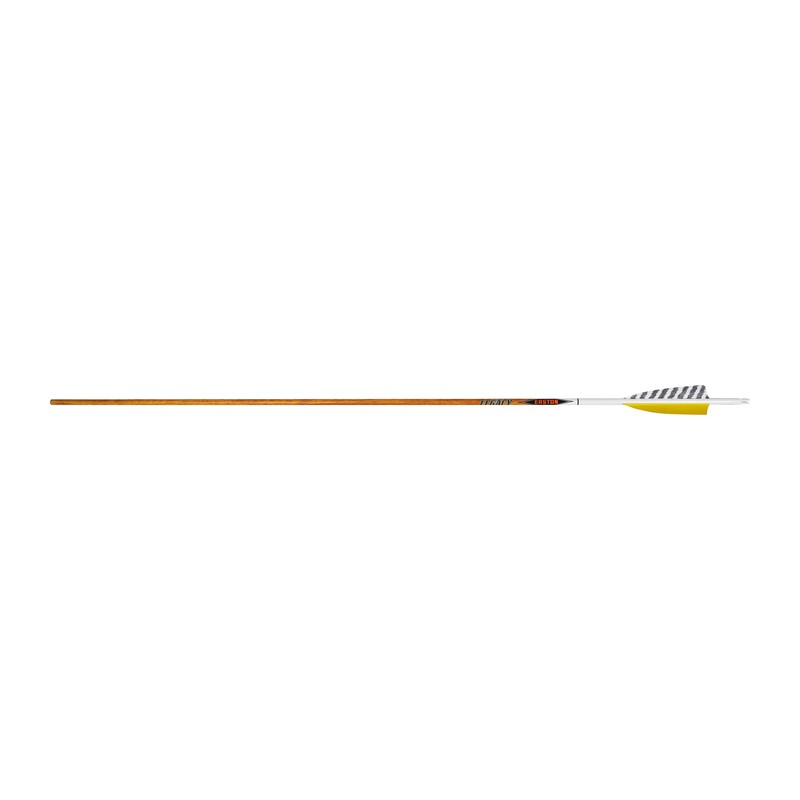 Strzały Easton Carbon Legacy 6.5mm