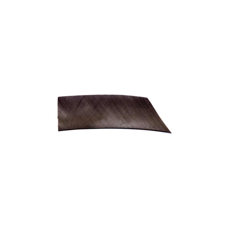 Pióro naturalne Avalon Perch Cut