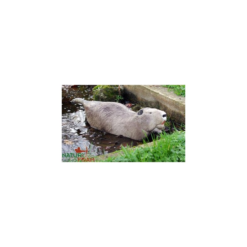 Cel łuczniczy 3D Natur Foam Bóbr - pływający