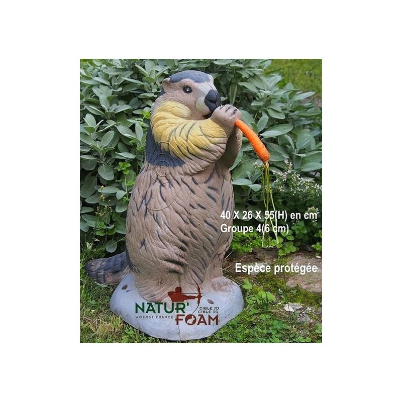Cel łuczniczy 3D Natur Foam Marmot