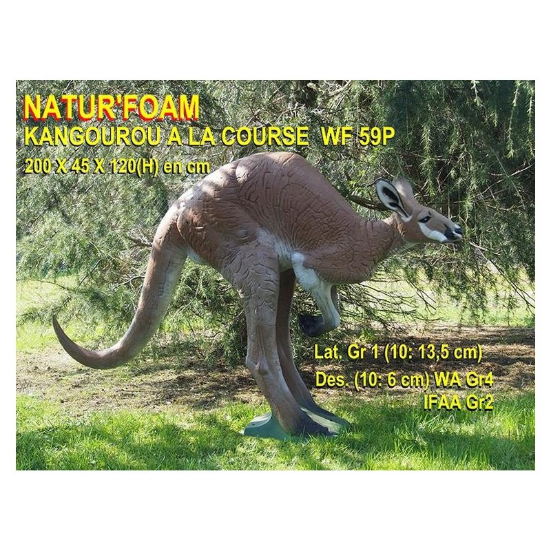 Cel łuczniczy 3D Natur Foam Kangur