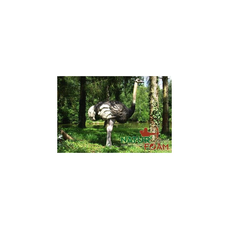 Cel łuczniczy 3D Natur Foam Struś
