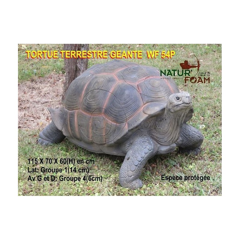 Cel łuczniczy 3D Natur Foam Żółw olbrzymi
