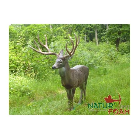 Cel łuczniczy 3D Natur Foam Mulak białoogonowy