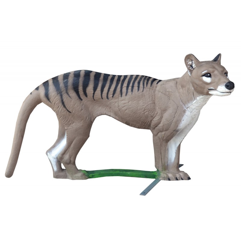 Cel łuczniczy 3D Natur Foam Wilkowór tasmański