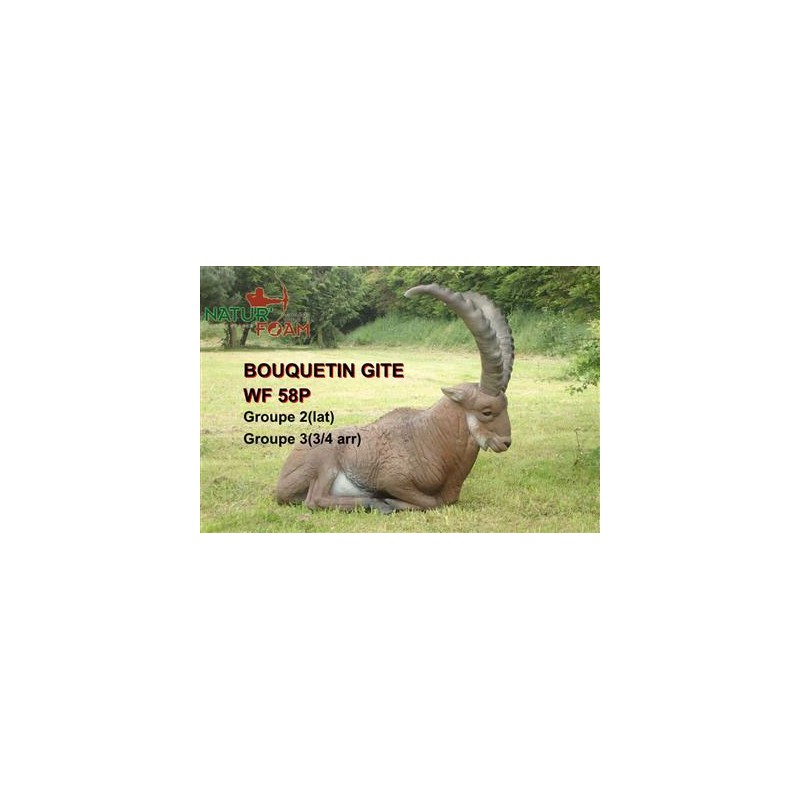 Cel łuczniczy 3D Natur Foam Koziorożec alpejski - leżący