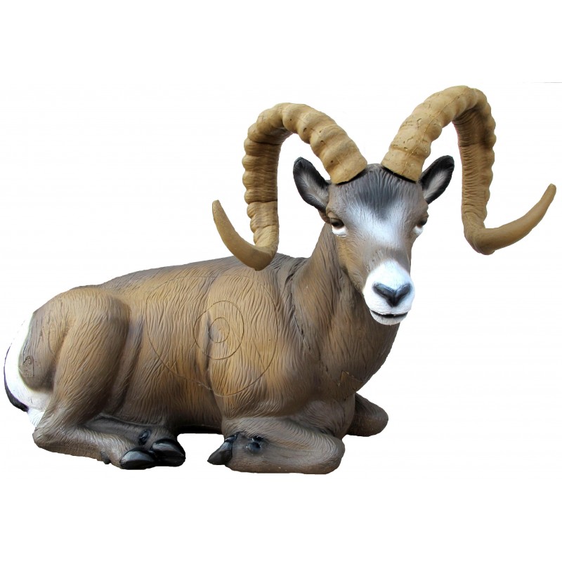 Cel łuczniczy 3D SRT Owca kanadyjska - leżąca