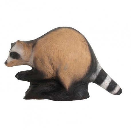 Cel łuczniczy 3D Wildlife Szop pracz